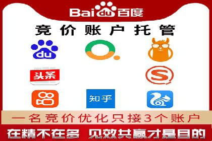 某sem公司成功案例揭秘